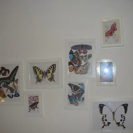 Apartment Florenc